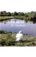 Noble Qur'an's Book Of Creation