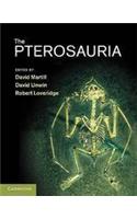 Pterosauria