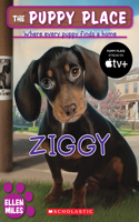 Ziggy (the Puppy Place #21): (21 Puppy Place)