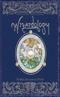Wizardology: The Book of the Secrets of Merlin(Ologies)