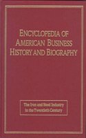 Iron and Steel in the Twentieth Century (Encyclopaedia of American Business History S.)