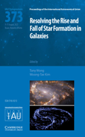 Resolving the Rise and Fall of Star Formation in Galaxies (Iau S373)