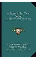 Friend in the Dark