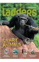 Ladders Science 4: Smart Animals (below-level)