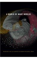 A World of Many Worlds