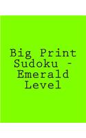 Big Print Sudoku - Emerald Level