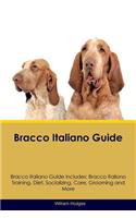 Bracco Italiano Guide Bracco Italiano Guide Includes: Bracco Italiano Training, Diet, Socializing, Care, Grooming, Breeding and More: Bracco Italiano Training, Diet, Socializing, Care, Grooming, Breeding and More