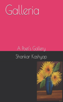 Galleria di Shankar