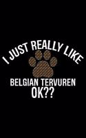 I Just Really Like Belgian Tervuren Ok?