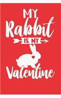My Rabbit is my Valentine