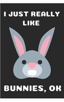 I Just Really Like Bunnies: Cute Bunny Gifts for Bunny Lovers Blank Notebook (6x9), 120 Pages