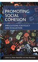 Promoting social cohesion