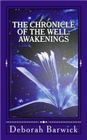 Chronicle of the Well