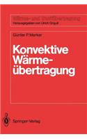 Konvektive Wärmeübertragung