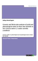 Genetic and Molecular analysis of yield and physiological traits in three line hybrids in rice (Oryza sativa L.) under aerobic condition