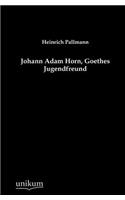 Johann Adam Horn, Goethes Jugendfreund