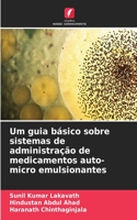 Um guia básico sobre sistemas de administração de medicamentos auto-micro emulsionantes