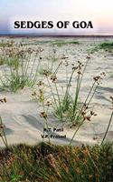 Sedges of Goa