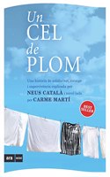 Un cel de plom