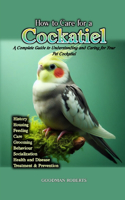 How to Care For A Cockatiel: A Complete Guide to Understanding and Caring for Your Pet Cockatiel