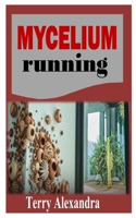 Mycelium Running