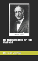 The Adventures of Old Mr. Toad illustrated