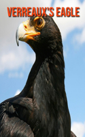 Verreaux's Eagle