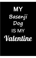 My Basenji Dog Is My Valentine