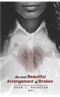The Most Beautiful Arrangement of Broken: (2 The Most Beautiful Arrangement of Broken)