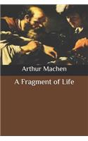 A Fragment of Life