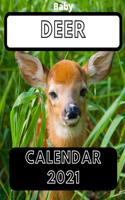 Baby Deer Calendar 2021