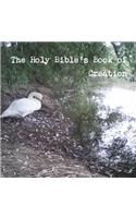Holy Bible's Book of Creation