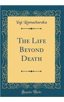 The Life Beyond Death (Classic Reprint)