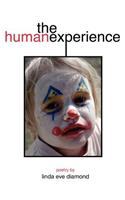 Human Experience