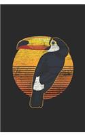 Toucan