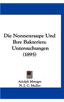 Die Nonnenraupe Und Ihre Bakterien
