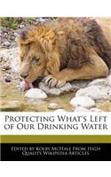 Protecting What's Left of Our Drinking Water