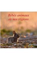Bebes Animaux De Nos Regions 2017