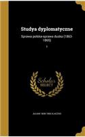 Studya dyplomatyczne