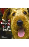 What Happy Dogs Know