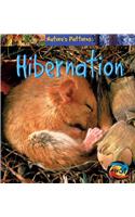 Hibernation
