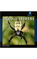 Deadly Spiders: (Poison!)