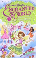 Enid Blyton's Enchanted World: Petal and the Eternal Bloom: (Enid Blyton's Enchanted World)