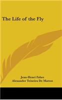 The Life of the Fly