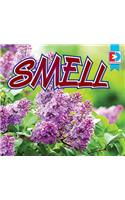 Smell