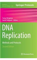 DNA Replication