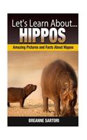 Hippos: Amazing Pictures and Facts about Hippos