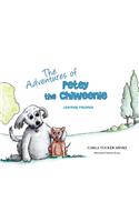 Adventures of Petey the Chiweenie