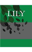 Lily: Personalized Journals - Write In Books - Blank Books You Can Write In
