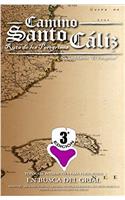 Camino Santo Cáliz: Ruta De Los Peregrinos En Busca Del Grial: Volume 1 (CAMINO SANTO CALÍZ)